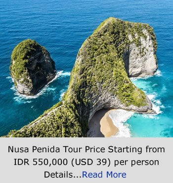 Nusa Penida Tour